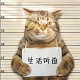 杰尼龟情绪收纳