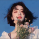 会飞的小鱼儿