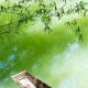 乐山乐水