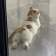 猜忌的千雁