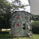 树洞哥哥