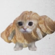 可颂猫猫头