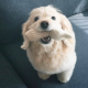 零零一