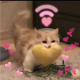 三月晴天