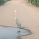 幸运~~