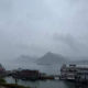 小柯柯