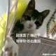 荆棘