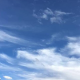 树洞【情感陪伴】