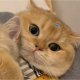 含蓄的寄春