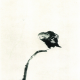 黑树
