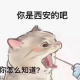 白发三千随人意