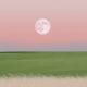 晴天✨心咨