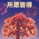 守心