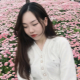 阿李李