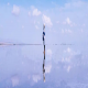 山风绘倾听