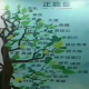 守一【静心】