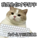 乐观的寒梅
