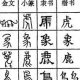 苏菲【两性关系】