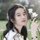 宁憩【情感陪伴】