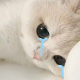顺风顺水