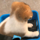 题主头像