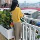阳光小筑心灵港湾