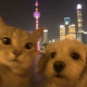 阴天情感人生箴言