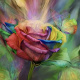 黄芪