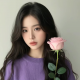 婲季【情感陪伴】