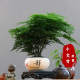 通.悦.心理咨询师