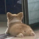 太阳朝我微笑