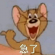 湛湛
