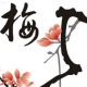 阿兰姐