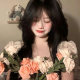 春秋蝉
