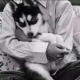 思想的主角