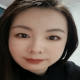 遍地梧桐