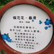 少言【情感亲子】