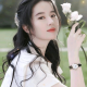 清砚情感修复