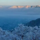 參鲍