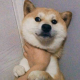 人间炼狱