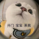 美羊羊_聆听天使