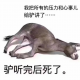 降魔师弟
