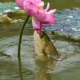 南湾两性情感倾听