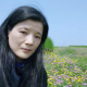 月十六【情感心师】
