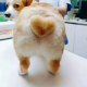 题主头像