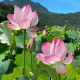 阖家安康