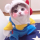 阳光正好微风不燥
