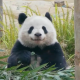 范快乐