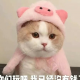 喝醉酒的维斯帕