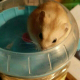 题主头像